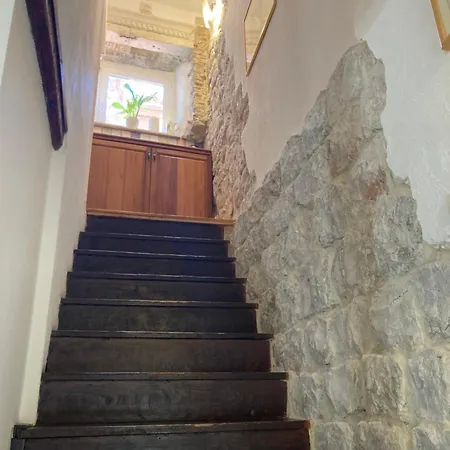 Guest house Vicelic 3*