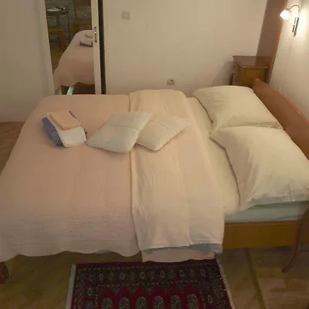 Vicelic Guest house