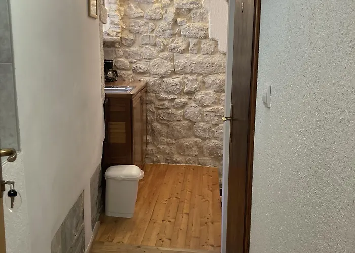 Guest house Vicelic 3*