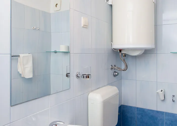 Guest house Vicelic 3*