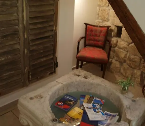 Guest house Vicelic 3*